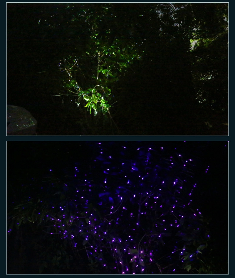 Dynamic Firefly Special Effect Laser Light Outdoor Landscape Light Park Full Sky Star Spot Light